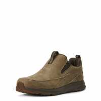 Read The Stable Door Reviews